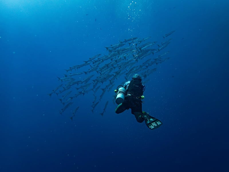 Scuba Diving